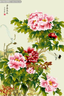 國(guó)色天香兩相宜 牡丹與芍藥的春季華章