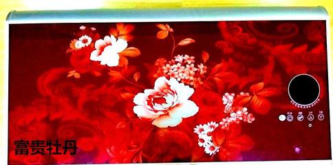 攜手順太樂，共贏綠色未來(lái) 誠(chéng)征節(jié)能健康環(huán)保電熱兩用熱水器代理經(jīng)銷商